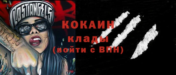 молекула духа Алексин