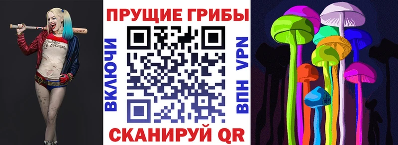 где продают наркотики Кирово-Чепецк Псилоцибиновые грибы Psilocybe